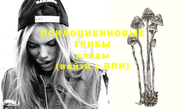 соль курить ск Верхний Тагил