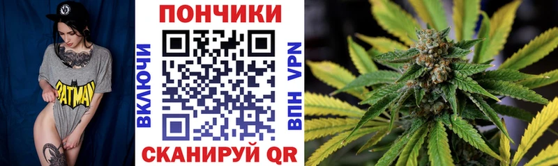 Канабис сатива  Елабуга 